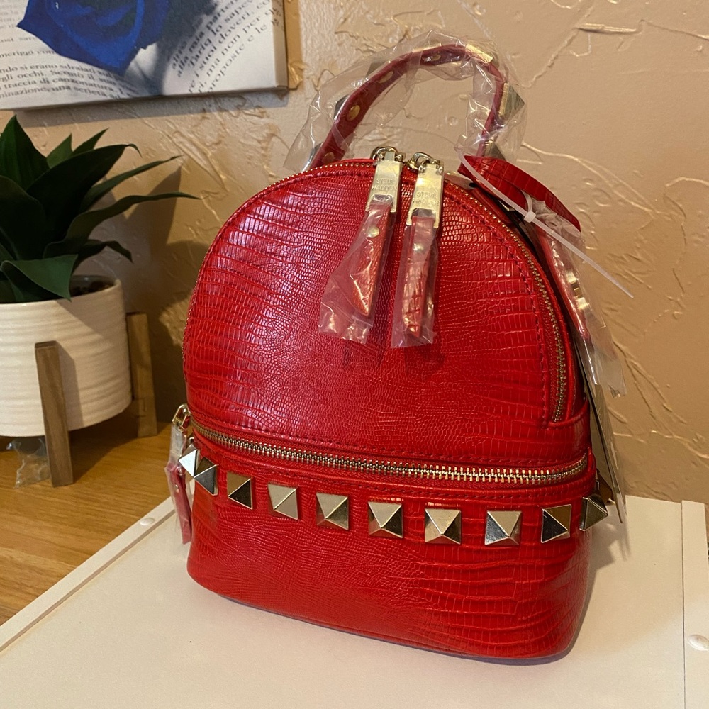 COPY - Steve Madden Backpack/Crossbody